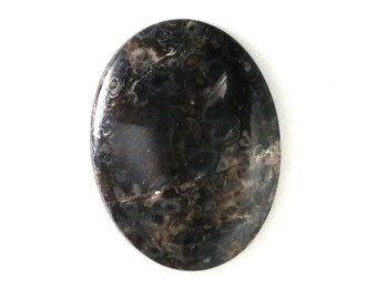 Black Orbicular Cabochon 30 x 40mm C19