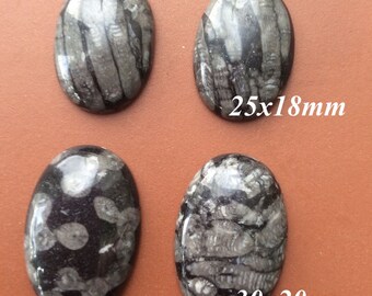 Irish fossil limestone Kilkenny marble cabochons Jewelry craft making bezel settings. Connemara marble's sister stone.