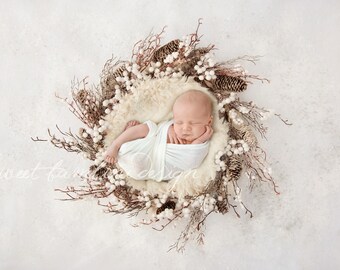 Digital Backdrop for Newborn Photography - Winter Nest