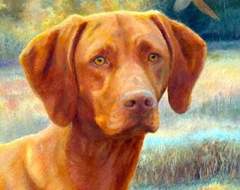 Field Days A Limited Edition Vizsla Print