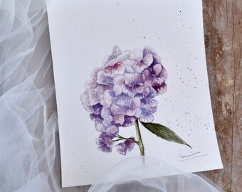 Purple Hydrangea flower
