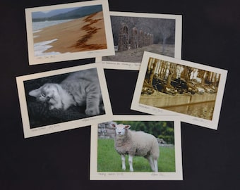 Variety Pack - blank notecards with original photography