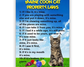 Maine Coon Cat Property Laws Fridge Magnet No 3