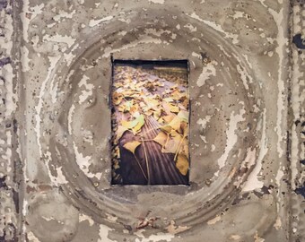 4x6 Ceiling Tile Picture Frame Trimmed in Barnwood