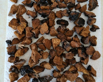 1 Pound Dried Chaga Mushroom Chunks