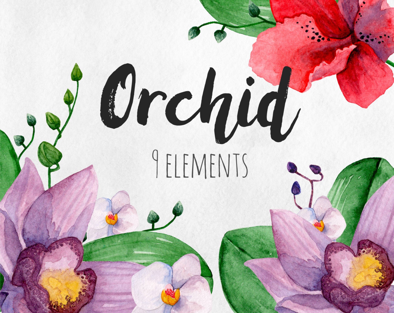Watercolor orchid clipart Hawaii flowers clip art Watercolor