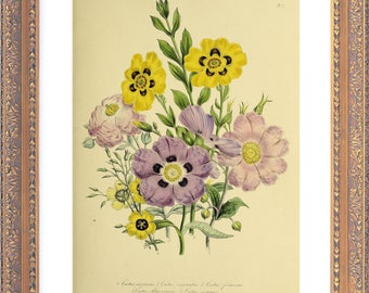 VICTORIAN Ladies Flower Garden - Giclee Reproduction Colour Print