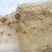 Coffee Tulle Lace Trim Retro Floral Embroidered Lace Trim 4.33 Inches Wide 2 Yards Costume Supplies
