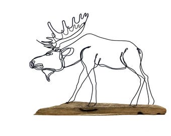 Moose Wire Sculpture, Moose Art, Bull Moose, 570796368