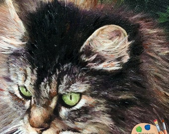Domestic Cat Oil Portrait - Custom Cat Portrait - Cat Painting from your Photo - Portraits by Nc