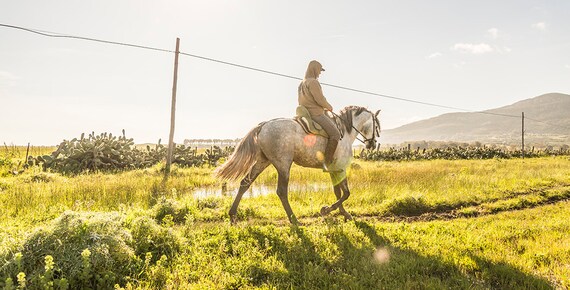 Horseriding in Tarifa,horseprints,equine prints,horses,spain,spanish pictures,