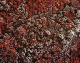 Wonderful Rust-brown Botryoidal Goethite and Green Spheres of Conichalcite on matrix