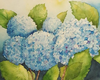 blue hydrangeas