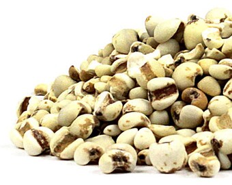 Organic JOB'S TEARS, certified Organic and Kosher. Irradiation free. You choose size- 1/2 or 1 oz. Coix lacryma-jobi