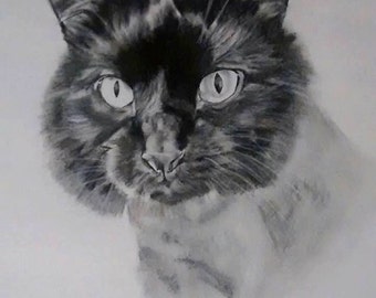 EXAMPLE: black and white, 8x10, one pet