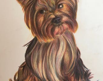 Fine Art Featuring Your Pet