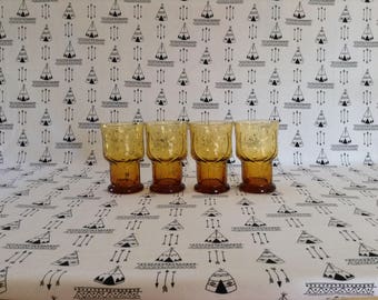 Brown Boho Blooms~Set of 4~Vintage~Glassware~Daisy~Fern~Footed~Tawny~Iced Tea~Tumblers~Brown~70's Kitchen~Kitsch~Libby~Country Garden~FB4