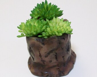 Miniature tree stump planter with succulants: Fairy garden or terrariums Polymer clay rustic tree stump