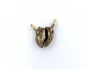 Lovers Anatomical S Heart