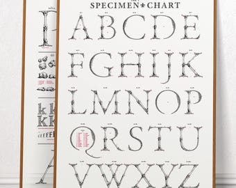 Garamond Corpvs: Bundle