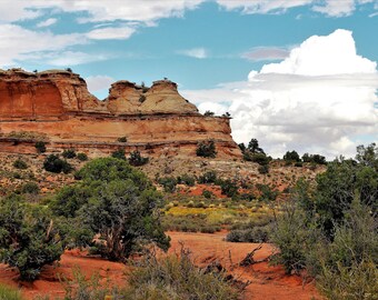 Utah Desert