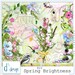 Spring Brightness - Digital Scrapbooking Kit - Floral - Sun - Scrapbook - Imprimable