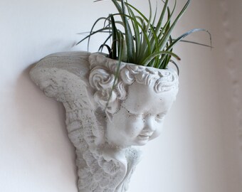 Angel Wall Planter, Cement Cherub, Concrete, Air Plant, Succulent Planter
