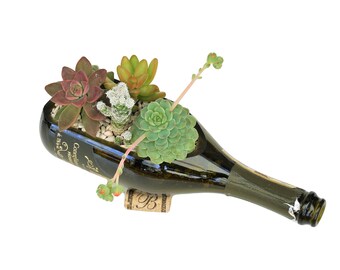 Champagne Bottle Succulent Planter / Wine Bottle Garden / Wine Gifts / Wedding Gift / Gift Ideas For Her / Indoor Plants