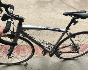 Competitive Sport Racing Bike