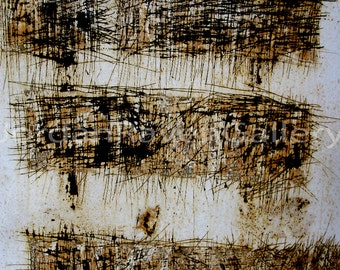 Abstract Photography, Abstract Art, Fine Art Photography, Unique Art, "Fragile"