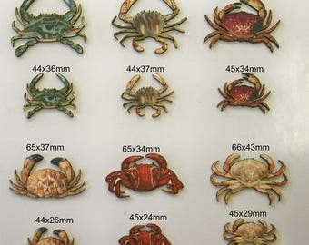 CRABS and CRUSTACEANS
