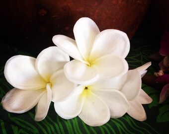 New Jelly Foam Plumeria hair picks