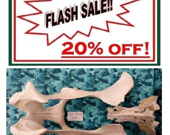 FLASH SALE !! Favorite this listing to be notified of Sales & Specials-- as they 1st happen!
