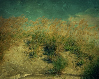 Sand Dunes at Tybee