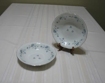 Two Soup Bowls Johann Haviland fine china Bavaria Germany