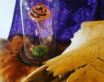 Copper rose