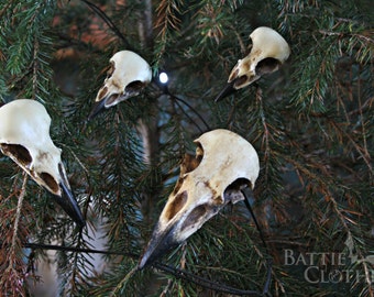 Corvidae collection raven crow magpie jackdaw bird skull goth decor gothic decorations halloween ornaments