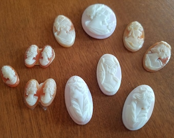 Set of 12 Pink and Brown Genuine Shell Cameo Pieces