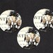 Halloween, Stickers, Marie Antoinette, Witch, Raven, Halloween Stickers, Stickers