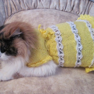KNITTED CAT Clothing Pet Gift Pet Dresses cat sweater wedding cat dress Dress-for-Small Dogs sphynx clothing sphynx sweater cat lover gift