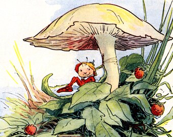 Mushroom Fairy Fabric - Faerie Sleeps in a Milkweed Pod - Repro Johnny Gruelle