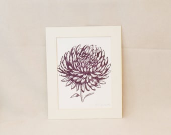 Chrysanthemum bloom print