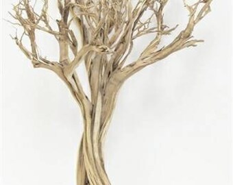 Sage Bush Miniature Tree Branches Birch Tree Branches Wedding Floral Centerpiece Supplies Reptile Terrarium Aviary Bird Perch