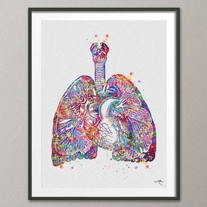 Lungs art | Etsy