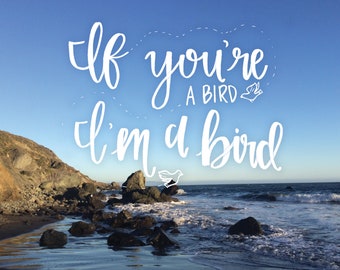 If You're a Bird, I'm a Bird
