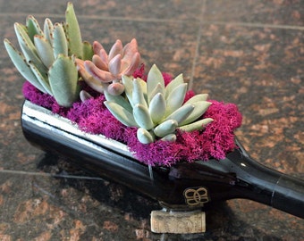 Baileys Black Glass Bottle Planter / Succulent Planter With Live Succulents Wine Gifts / Indoor Planters / Herb Garden / Irish / Hendricks