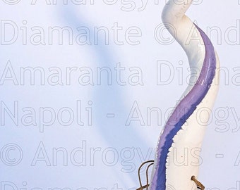 White and lilac Androgynus horn