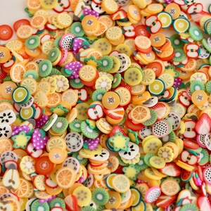 100 Polymer Clay Fimo Fruit Slices PERFECT FOR SLIME slime charms slime supplies clay charms fimo slices clay slices clear slime fimo cane