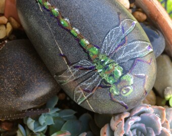 Dragonfly1 Painted Beach Rock