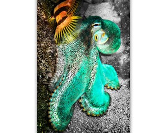 A Z U R E | High Quality Metal Print (Ready to Hang)
